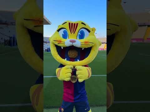 بايلالو روكي دويتو البخل تحديات المراه رونالدو المراره ضحك اكسبلور التغطيه غباء 