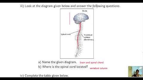 Setu Abhyas | Std 10 th Science Part 2 : Test 2 Full Solve | Bridge Course