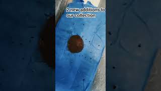 Comment What You Wanna See Next