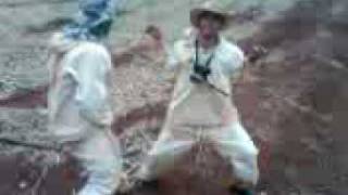 Psy Na Roça ( Rebolation Davim e Timão )