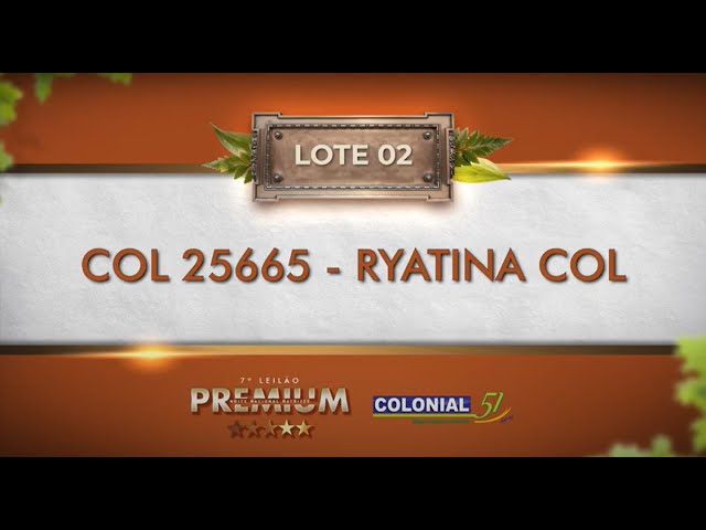 LOTE 02   COL 25665