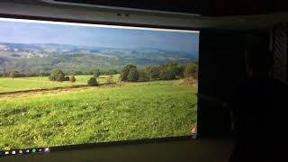 Pheasant SP