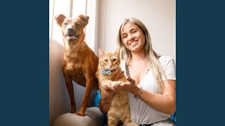 Jazz Pet Harmony and Joy