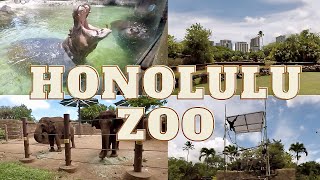 Honolulu Zoo Full Tour 2022 | Eat And Be Eaten HAWAII