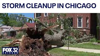 Cleanup continues around Chicago after night of powerful storms