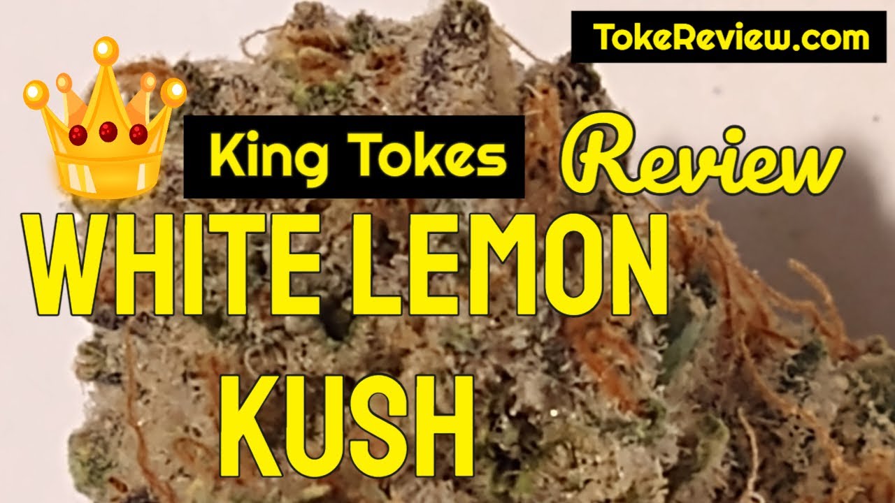 White Lemon Kush marijuana strain review by King Tokes