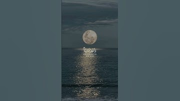 القرآن الكريم... تلاوة خاشعة. آيات من الذكر الحكيم