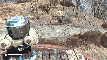 Wild Mongrels Attempt Intimidation Tactics