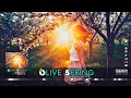 Olive spring  imperss music 2022 original mix