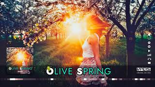 Olive Spring @ Imperss Music 2022 [Original Mix]