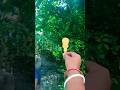 HA The Cutest Food Sharing Moment wid...🍡...
