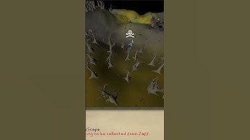 The best place to learn how to PK!