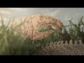 Salim Nourallah Tucumcari Official Music Video Salim Nourallah Tucumcari Official Music Video