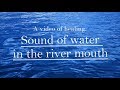 【Healing video】 Waves and water sounds‼︎