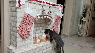 Рождественский новогодний камин своими руками вместе с котом Федором! Мастер класс! Рождественский новогодний камин своими руками вместе с котом Федором! Мастер класс!