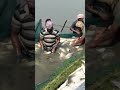  shorts viralshorts youtubeshorts trendingvedios fishermandasu