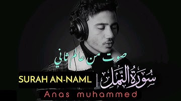سورة النمل [كاملة]  القارئ أنس محمد ❤️ | تلاوة هادئة 😴 | Surah An-Naml - Anas Mohamed
