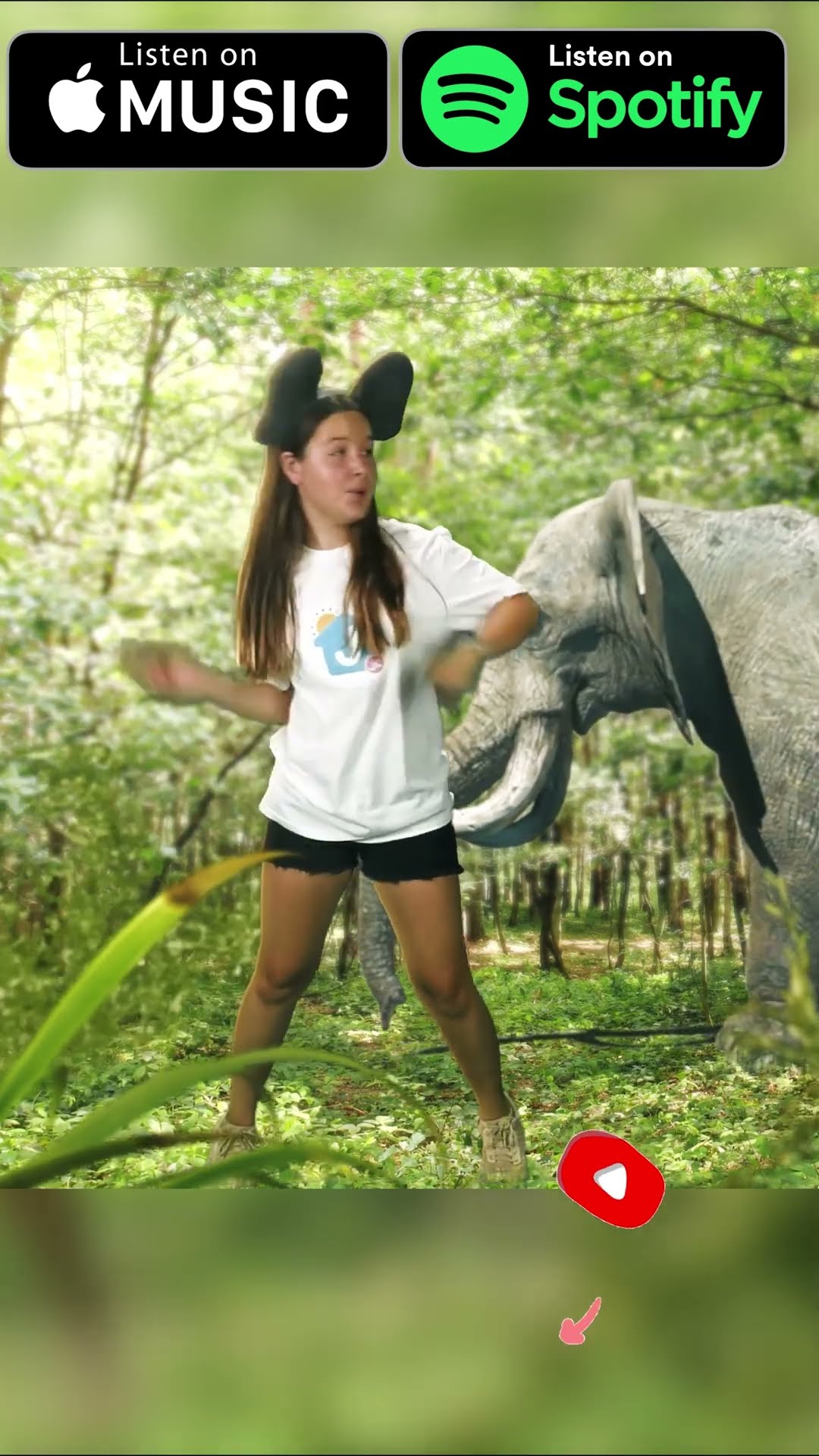 ????? Safari #kidssong