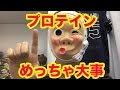 【たんぱく質　栄養】　たんぱく質という栄養素・・・めっちゃ大事！