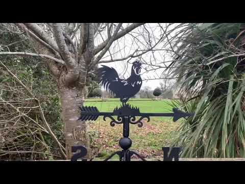 Deluxe Rooster Cast Iron Weathervane