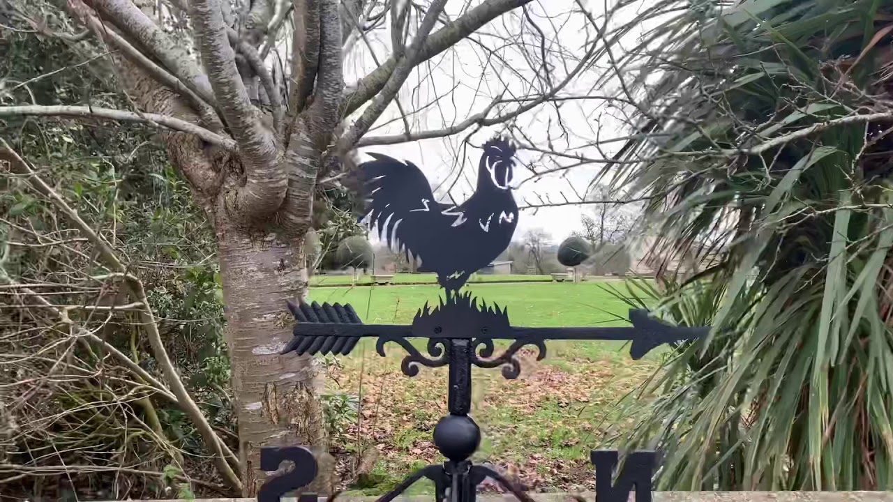 Deluxe Rooster Cast Iron Weathervane camera iphone 8 plus apk