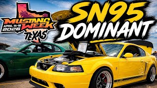  SN95 Mustangs vs Everyone at Mustang Week Texas 2026