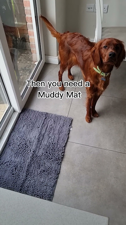 Muddy Mat - Time to change your old rugs to Muddy Mat! An ultra