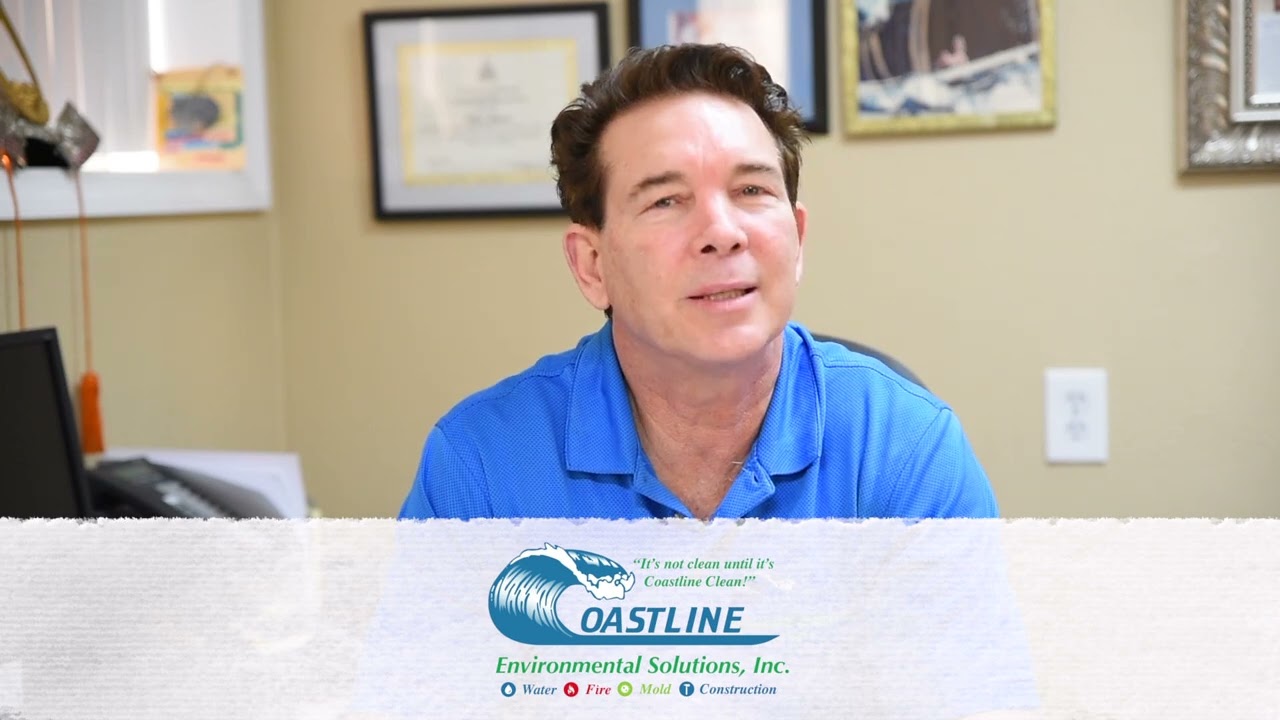 When Should You Sample For Mold? | Mold Remediation Long Beach | Mold Testing Long Beach CA