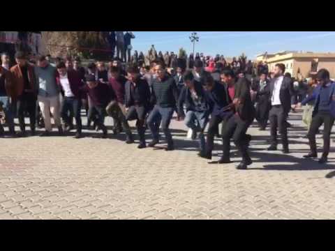 جانترين داوه ت ٢٠١٧ زانكويا زاخو ماشاءالله 