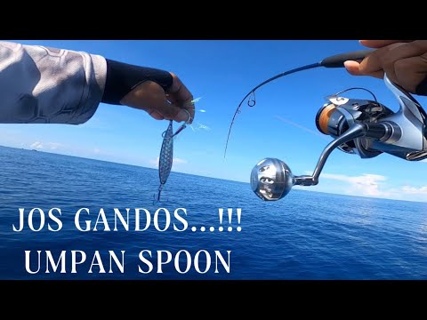 Cara Mancing Tenggiri Di Laut