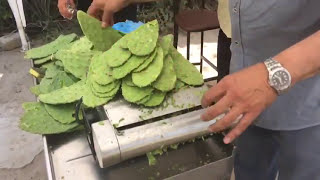 Maquina para quitar orillas del nopal 