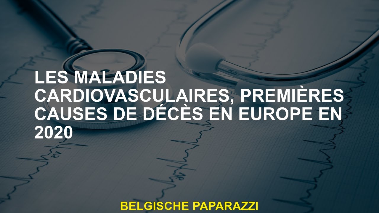 Maladies cardiovasculaires, premières causes de décès en Europe en 2020 ...