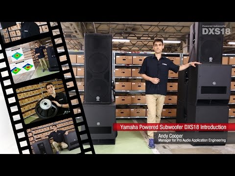 Yamaha DXS18 1020 Watt 18