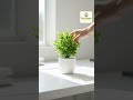 Video 35 Tiny Office Setup Budget Hack no budget #35 - Tiny Space Transformation