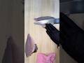 ヘダイを捌きます!へだいは身が締まっていて美味しいお魚です!今が旬で脂がのっていて美味しいです!千葉のものが特に脂がのっているので良かったらぜひ #ねぎお #ねぎお寿司 #へだい #ヘダイ #平鯛