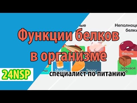 Функции белков в организме человека! ✓ Специалист о том зачем нужен белок каждому человеку.