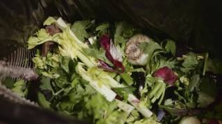 BioCoTech Americas - BioSpeed Composting