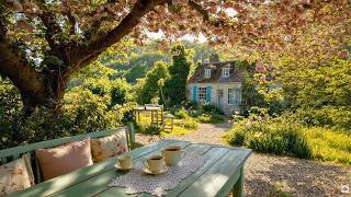 Beautiful Morning 🍃 Soft Piano Music for Dreamy Days, Calm Focus & Peaceful Reading screenshot 4