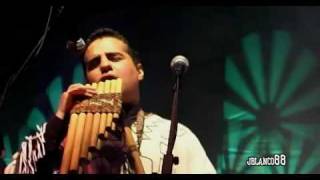 Los Kjarkas  ♪♫Imillitay♫♪  | Concierto Más Allá | chords