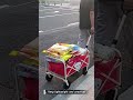 Small Folding Shopping Cart
