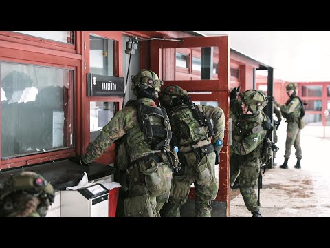 Video: Sisäministeriön erikoisjoukot: univormu, aseet, standardit, koulutus