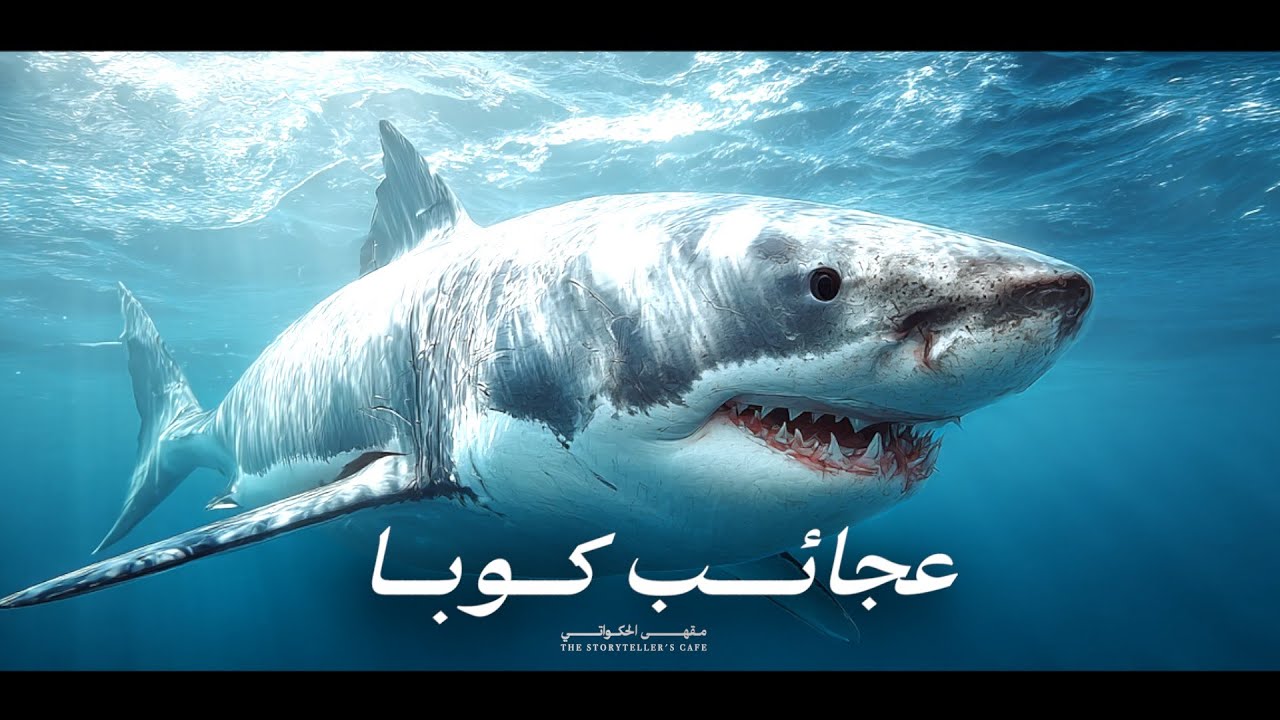 عجائب كوبا | من مستنقعات الغموض إلى أعماق الكاريبي!  أسرار وعجائب | القصّة كاملة | وثائقي