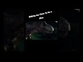 much rawr #silly