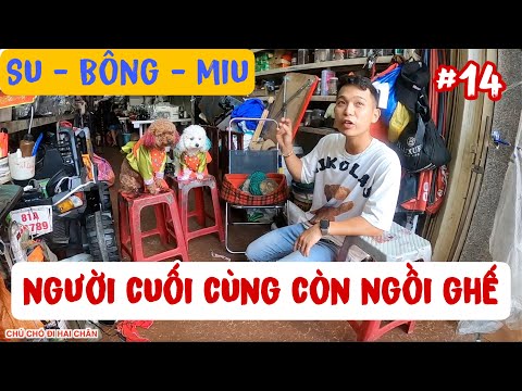 Video #14: SU - BÔNG - Miu AI LÀ NGƯỜI 