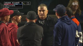 Umpire Hit in the Head and Leaves Game