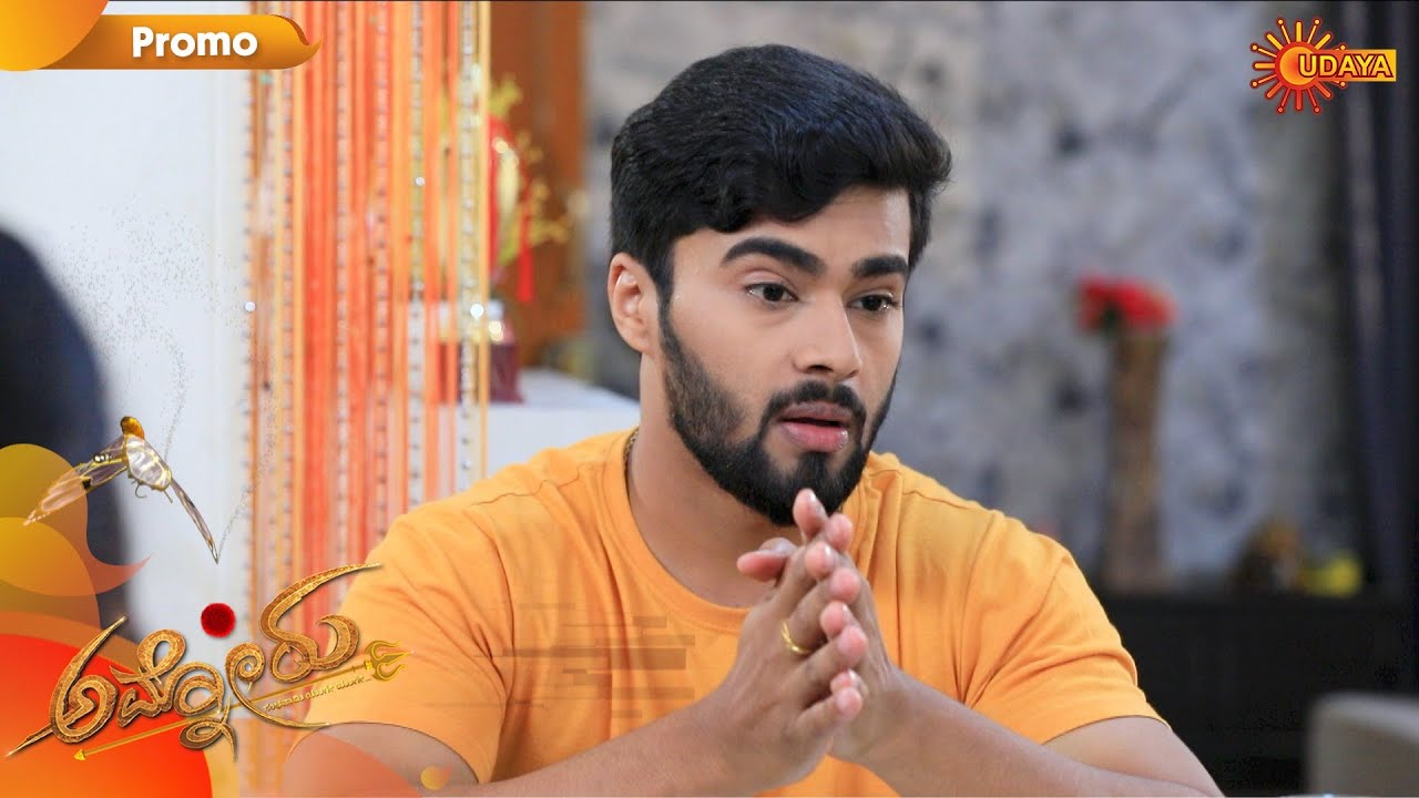 Ammanoru - Promo | 4th February 2020 | Udaya TV Serial | Kannada Serial