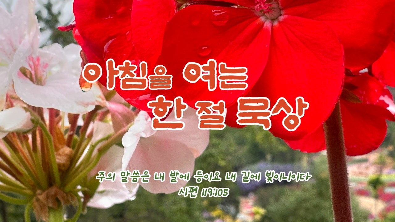 3월 3일-아침을 여는 한 절 묵상(요 9장 41절)