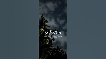 سورة (الفتح) بصوت الشيخ ماهر المعيقلي🖤✨