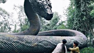Snake 3 2022 Film Explained In Hindi Snake 3 Movie Summarized In हनद