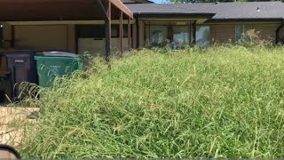 Elderly man was so happy to see me mowing next door, he watched the entire time